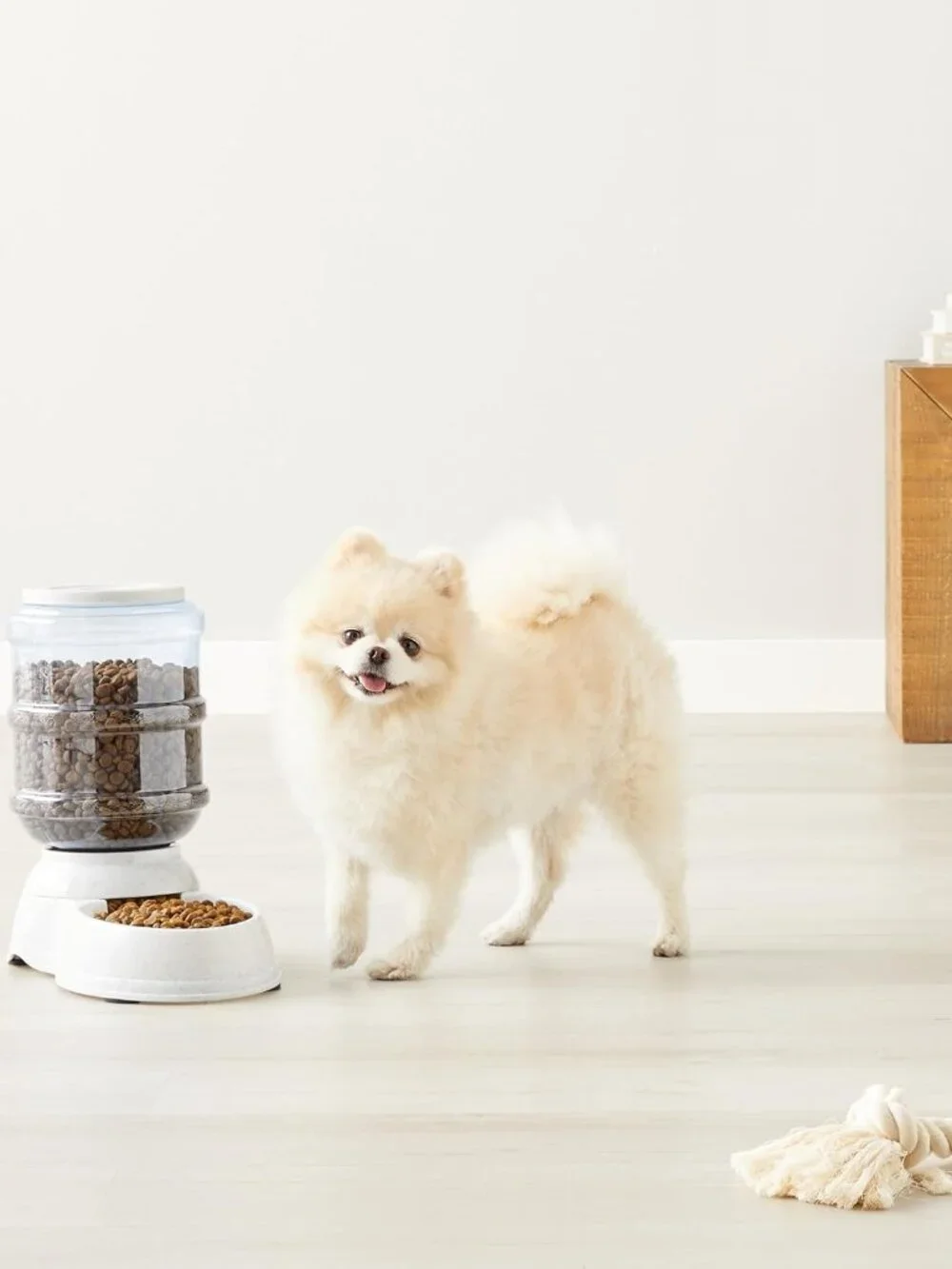 Gravity Pet Food Feeder for Dogs Cats 6 lb Gray Small New in Box Dispenser Bowls